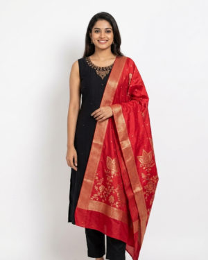 elegant 3pcs set with red banarasi duppatta