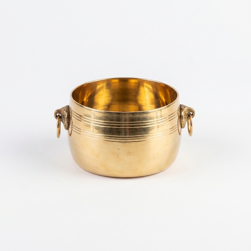 exquisite brass prasadam bowl with elegant handle
