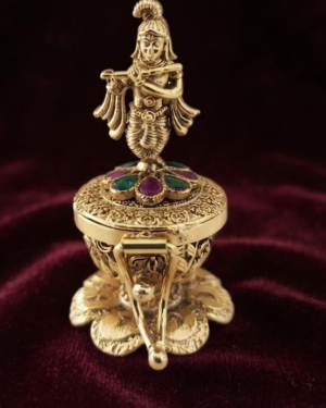 Exquisite Krishna Kumkum Bharani